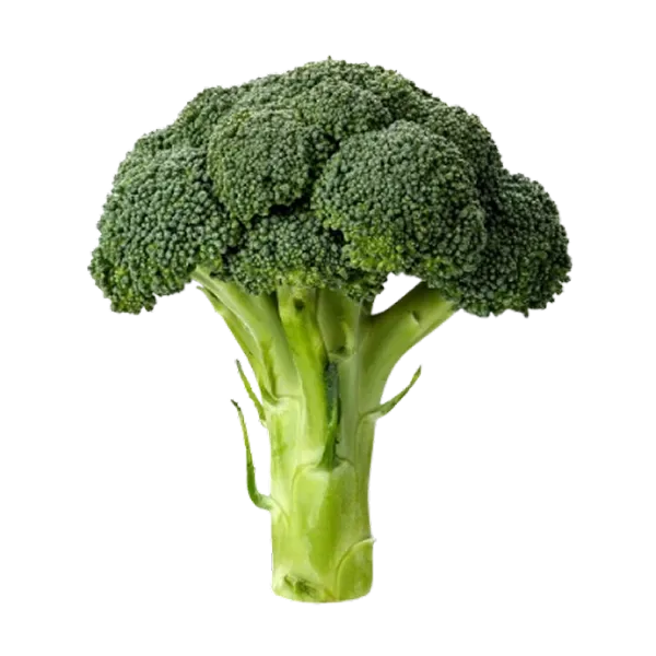 Brocolli crown — UNIT