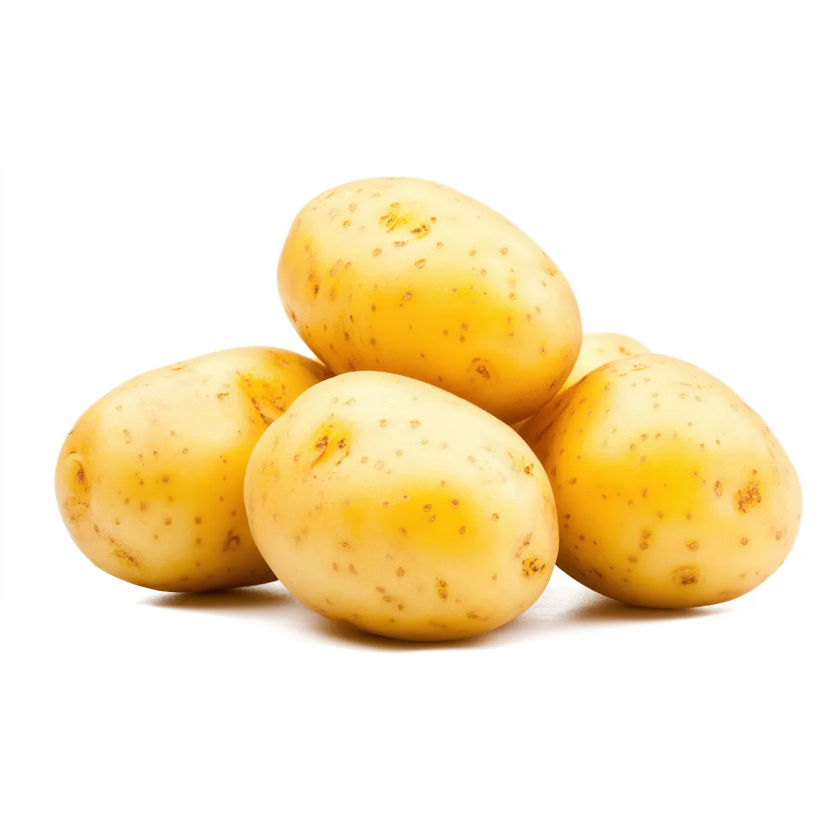 Large Yellow potato Chef-50LB — UNIT