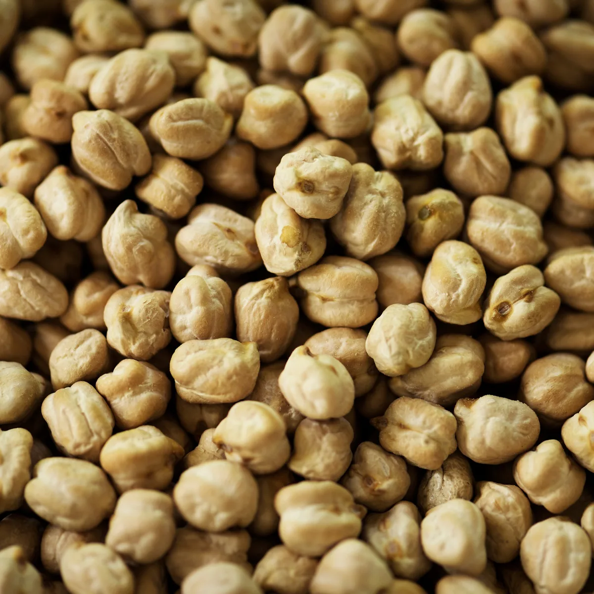Dried chickpea 55Lb — UNIT