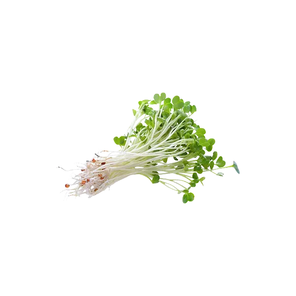 Alfala Sprouts/c — UNIT