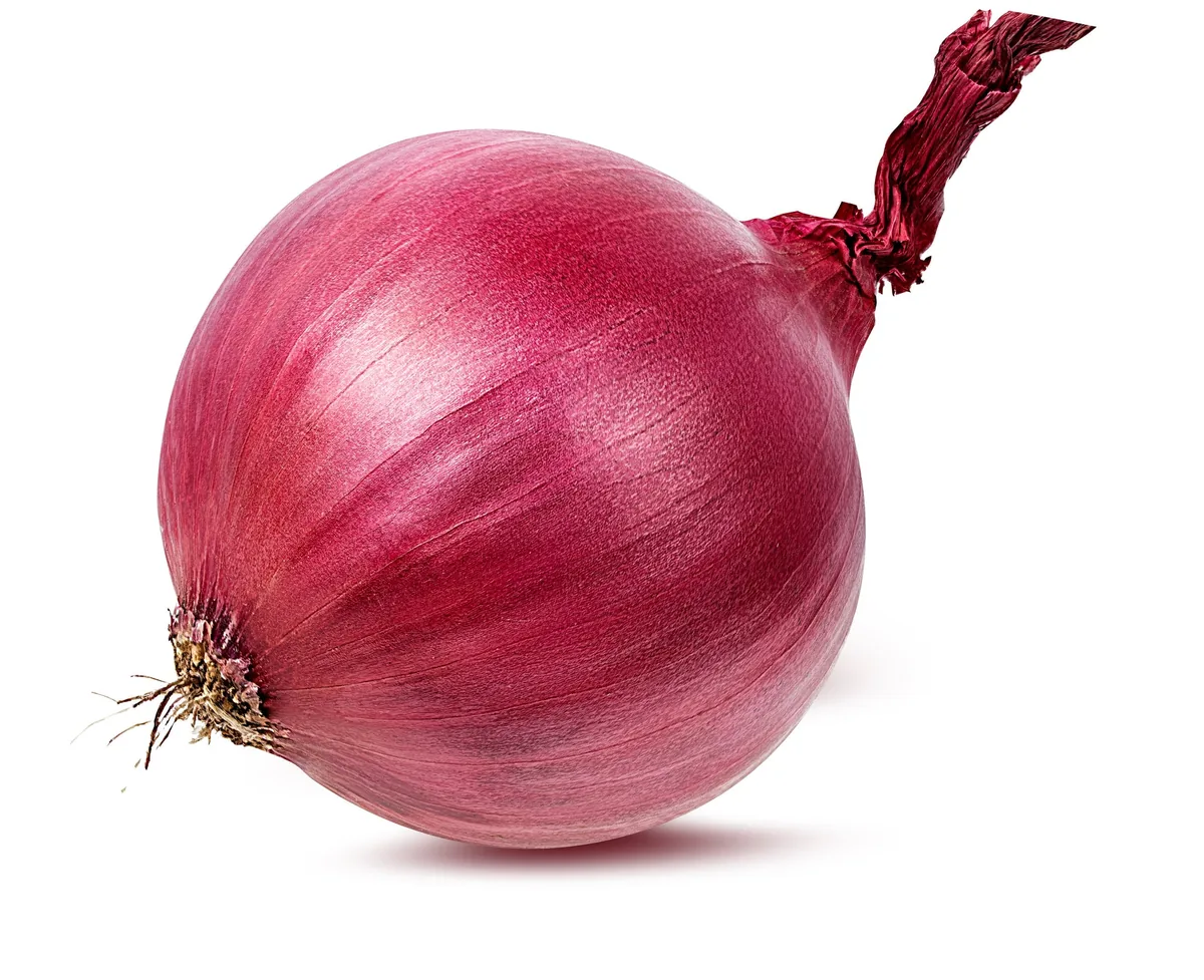 Red Onion-25Lb — UNIT