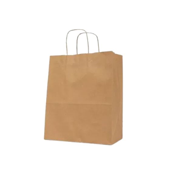 Twist Handle Paper Bag 13x7x17 — 13x7x17
