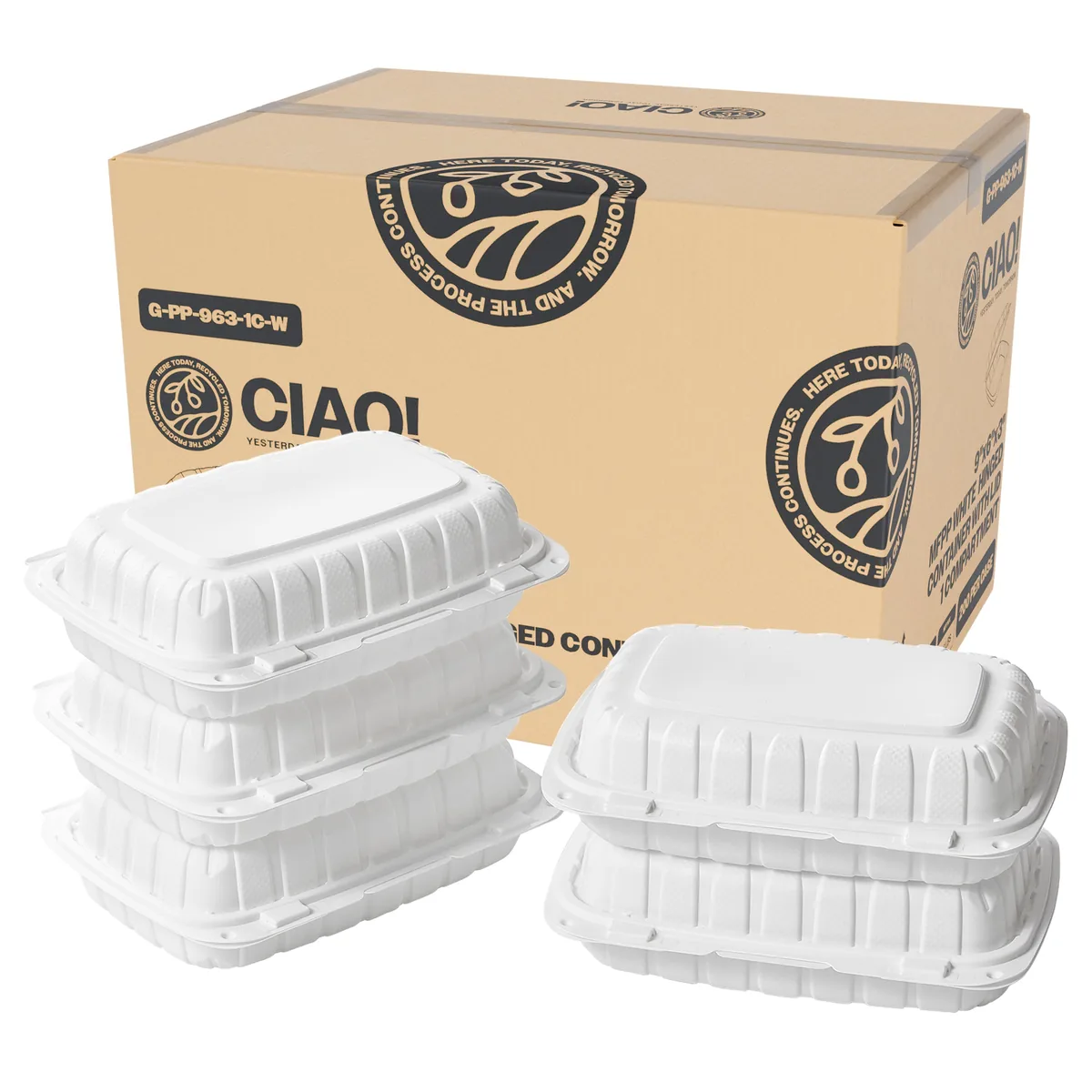 STI MFPP 9x6x2.6 cont-200/cs — PP96