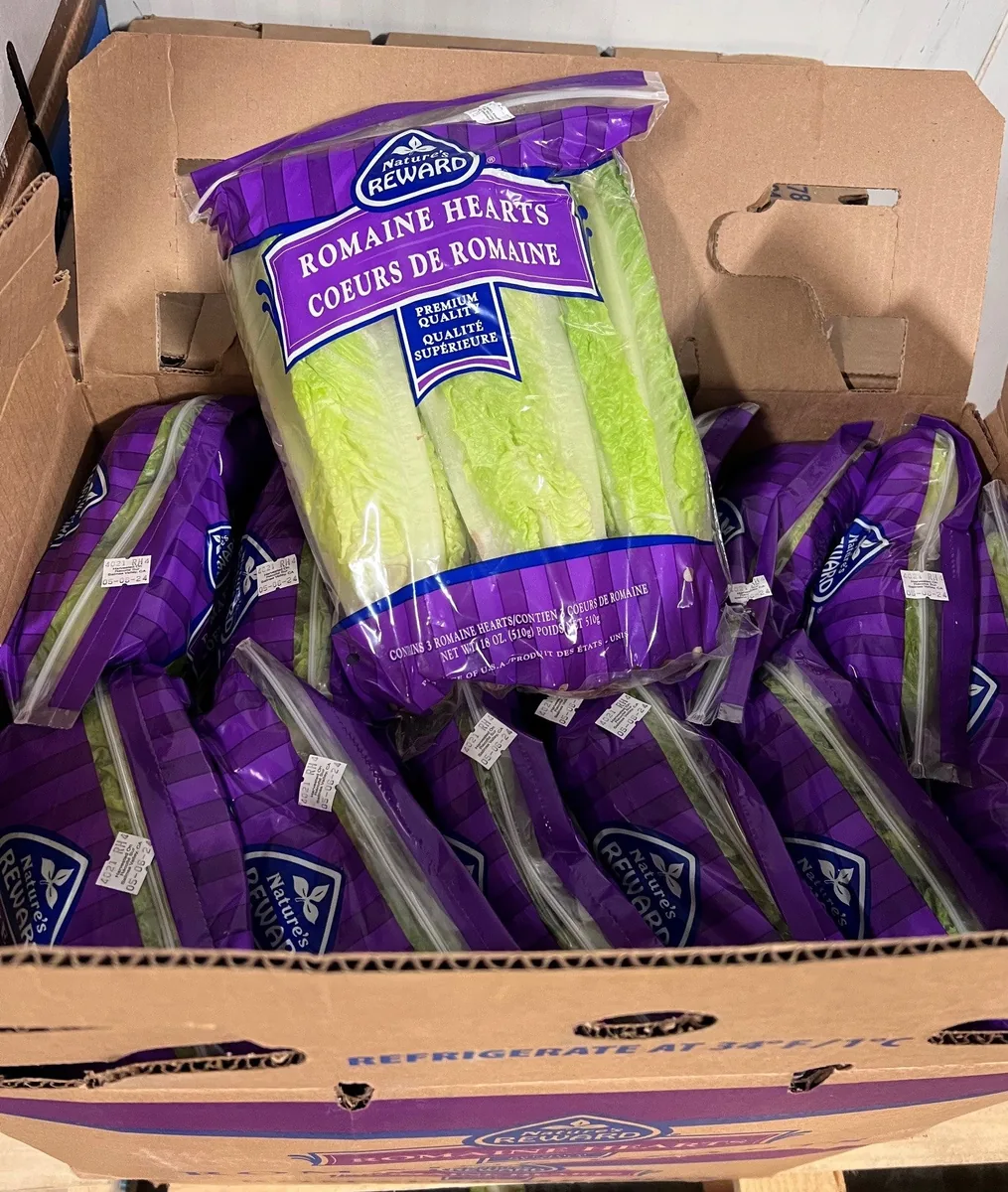 Romaine Hearts 12x3 case — UNIT